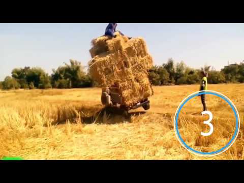 სახალისო ვიდეობის ხუთეული (3 გამოშვება)