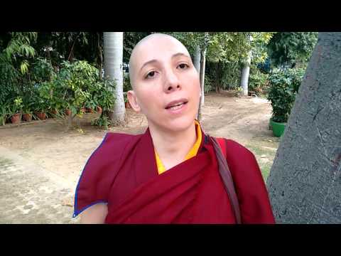 Video: ¿Cómo y por qué se extendió el budismo a otras tierras?