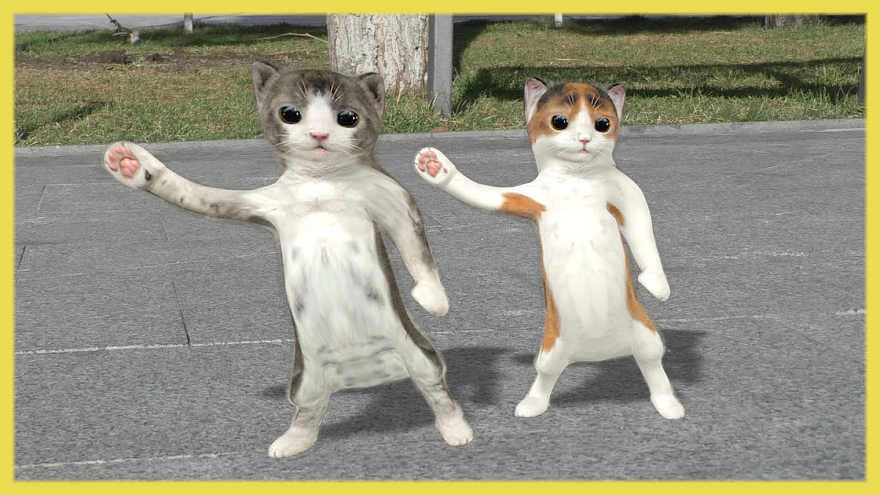 Dancing Cat