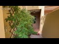 3 bedroom villa for rent in Dubai, Al Reem 2, Arabian Ranches