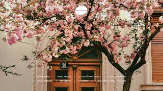 [Piano Playlist] A fresh piano collection that draws spring and spring again 🌸