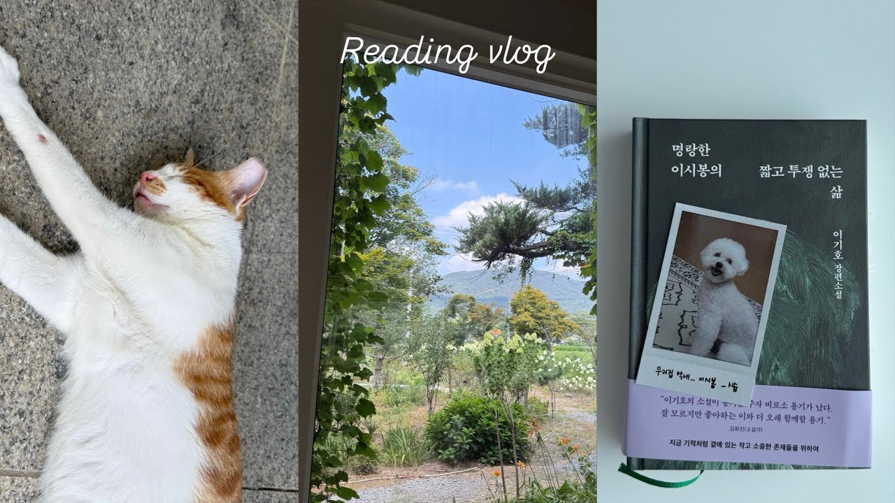 구매한 책은 영원히, 영원히 밀리고 있다 | 또 알라딘 굿즈 🧺 , 독서브이로그 📚🤯