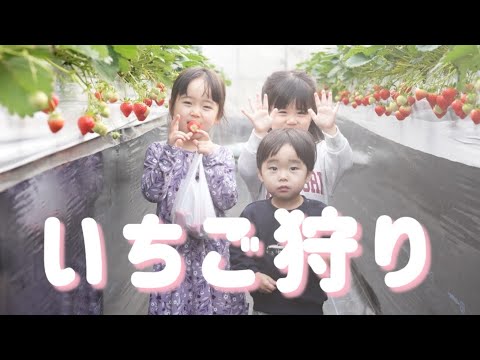 【親友】きりすけふぁみりーとはじめてのいちご狩り、昆虫館、公園…🍓🦋🛝【きりいと】