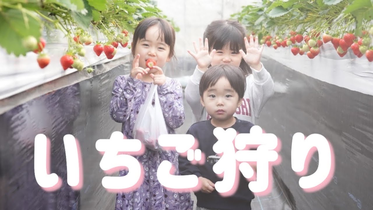 【親友】きりすけふぁみりーとはじめてのいちご狩り、昆虫館、公園…🍓🦋🛝【きりいと】