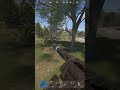 Rust silenced that is nasty