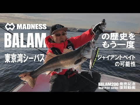 BALAM 200 Launch Commemorative Reissue Video Part 3: Tokyo Bay Sea
