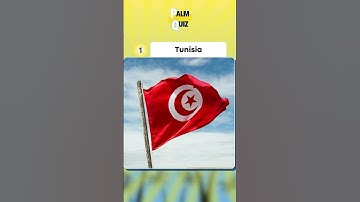 Flag Challenge: 9 Countries from Easy to Hard 🟢🟡🔴 #quiz #funny