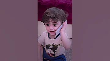 علاوي حبيب كلبي ابو حسين شاهد المقطع للاخير 