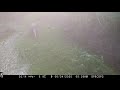 Wildlife on the Otter Cam