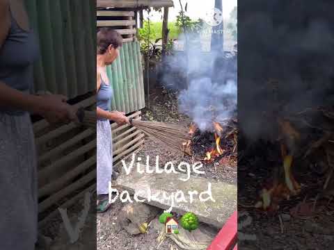 Village Auntie cleaning her home backyard early morning !!! #shorts #viralvideo