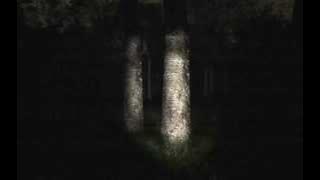 SLENDER 8/8 pages Complete Run