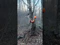 Hanging a big woods buck overnight 