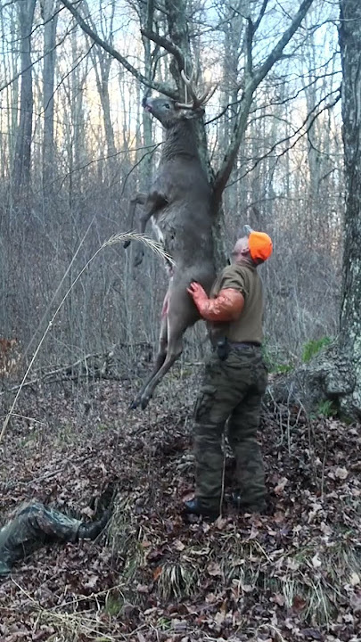 Hanging a BIG WOODS Buck Overnight! 🦌