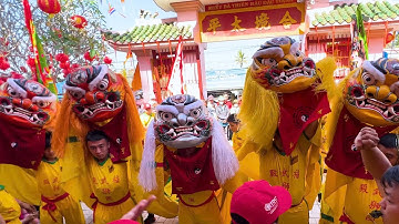 Múa Hẩu Đặc Sắc tại Lễ Hội Chùa Bà Thiên Hậu Dầu Tiếng Bình Dương 2025