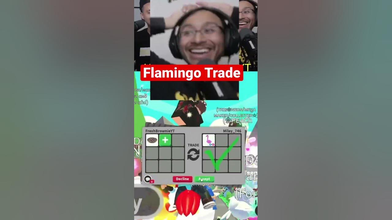 Crazy Flamingo Trade in Adopt Me! - YouTube