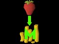 FARMING = GOLD OSRS #shorts