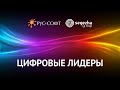 Цифровые лидеры. Сергей Меркулов, директор по цифровой трансформации Segezha Group