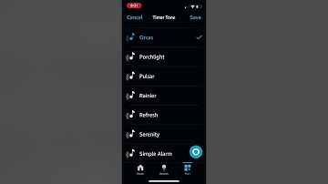 Alexa Timer Tones