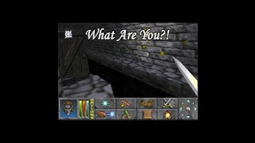 What Are You?! Water Creatures in #Daggerfall! #thejonnymar #shorts