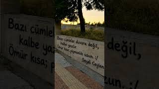 Bu Hakkinda Birseyler Yazar Misin ? Ürküler Ürkü