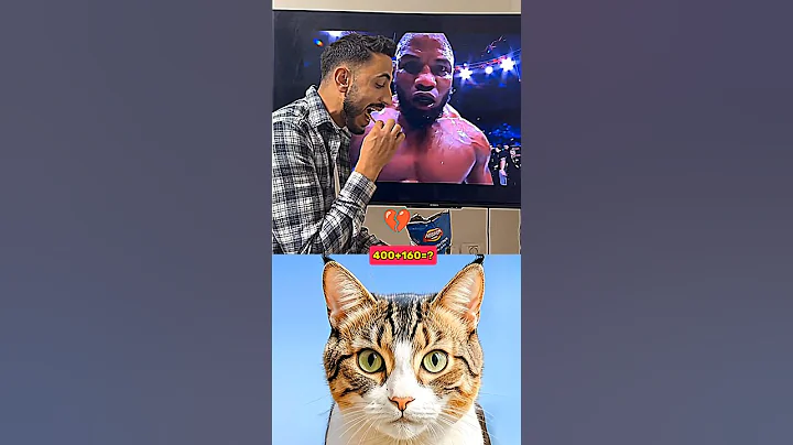 Video 11799521: cat funny dance dog