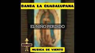 Banda La Guadalupana De Guerrero &quot;Los vergelitos&quot; (album completo)