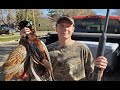 INSANE North Dakota Pheasant Hunting! (5 man limit)