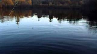 weightless senko bass fishing