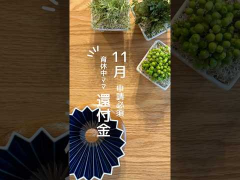 11月申請必須　育休中ママ還付金