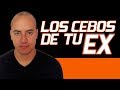 TU EX Y SUS CEBOS | | Como recuperar a mi ex