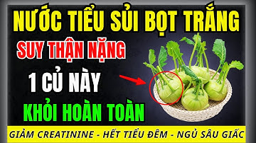 Người thận yếu: Chỉ cần ăn 1 LOẠI CỦ NÀY - giúp thanh lọc thận, hạ creatinine, hết tiểu đêm!