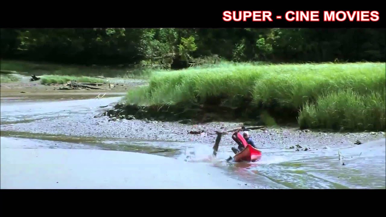 O Grande Ano The Big Year Trailer HD Legendado YouTube