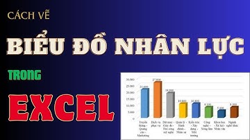 CÁCH VẼ BIỂU ĐỒ NHÂN LỰC TRONG EXCEL