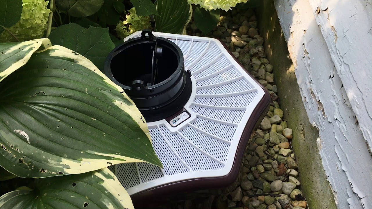 Biogents Mosquito Trap 1 Real World Review Year 1 YouTube