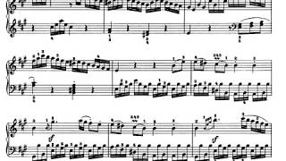 Video thumbnail of "L.V. BEETOVEN  Sonata No  2 in A major"