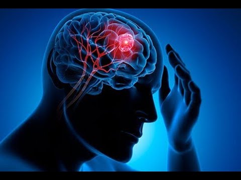 Video: Beyində altruizm zonası tapıldı