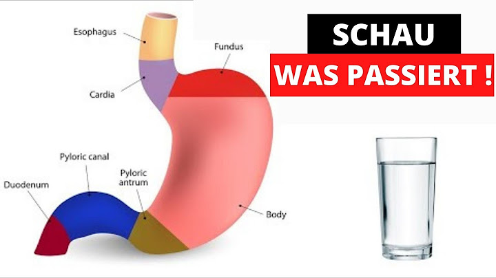 Warum ist es.schmerzhaft wenn man mit leerem.magen.trinkt