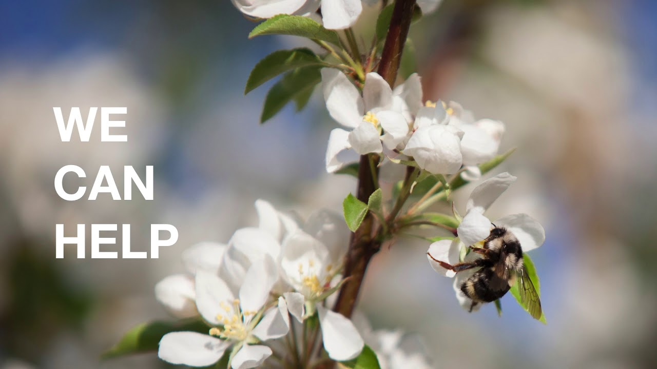 Just In Time Shipping