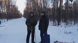 Кошкин дом 2. Ожидание попутчиков Кошкин дом 2. Ожидание попутчиков