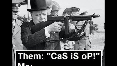 Crusader AA - My Official Response to "CaS iS oP!" in War Thunder