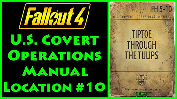 Fallout 4 - U.S. Covert Operations Manual - USAF Satellite Station Olivia - 4K Ultra HD