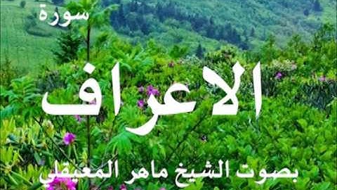 سورة الاعراف بصوت الشيخ / ماهر المعيقلي 7
