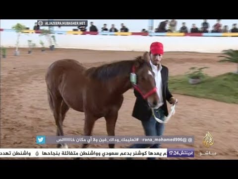 مزاد الخيول العربية الأصيلة والمهجنة في نادي ليبيا للفروسية