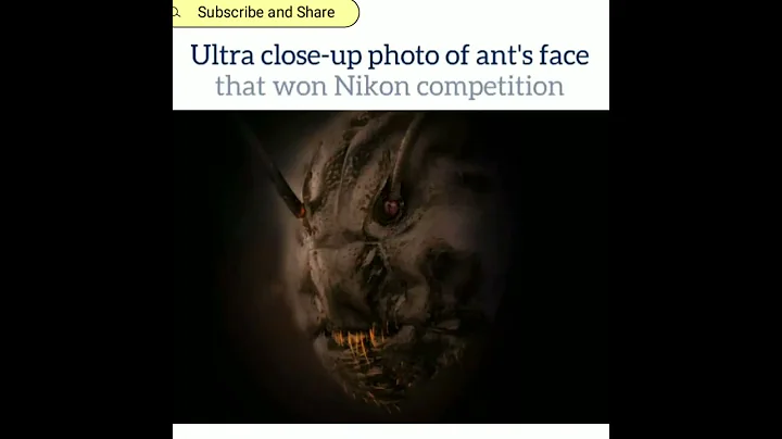 Ultra close-up photo of ant's face that won Nikon competition | Viral Video | Viral News #shorts