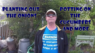 Planting out the onions, potting on the cucumbers and more by Wayne's Allotment 425 views 3 weeks ago 27 minutes