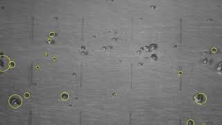 Sample 2, Bubble Detection/Characterization