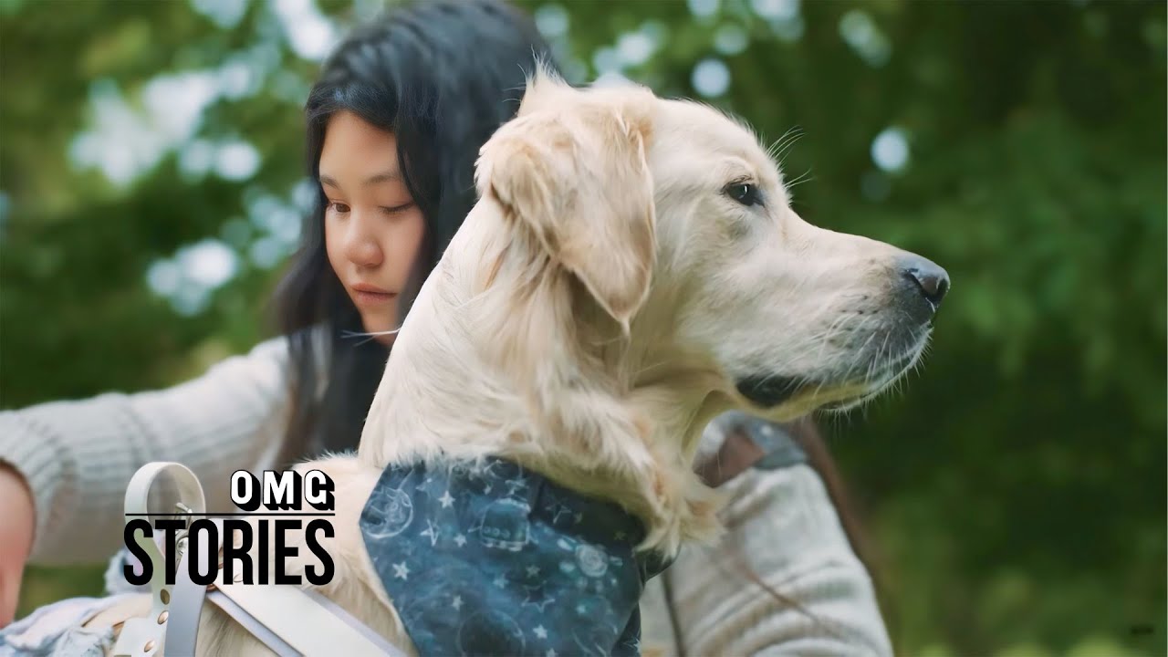 The Dog That Saved My Life. (2024)