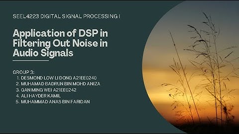 SEEL 4223 Filter Design and Analysis (DSP Assignment Group 3 )