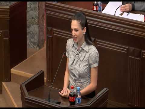 თათია დოლიძე / ექსპრომტი / პარლამენტი