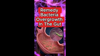 addressing issues in the gut 👍